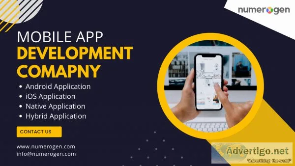 Professional web/mobile app development company in himachal prad