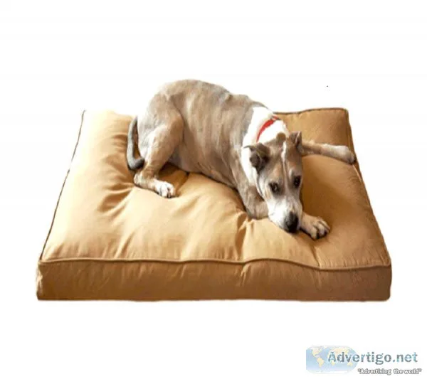 Top Reasons To Invest In A Large Chew-Resistant Dog Bed