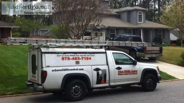 Marietta Georgia pest and bee control services