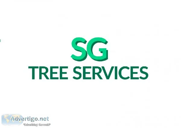 Expert Tree Surgeons For Commercial And Private Clients  SG Tree
