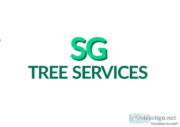 High Quality Tree Pruning Services In Aberdeen