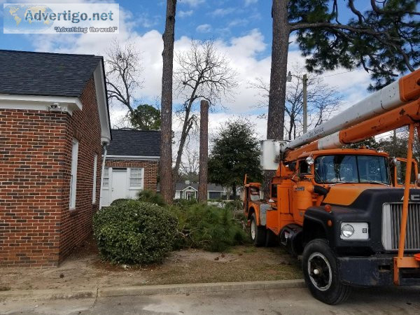 Tree Service