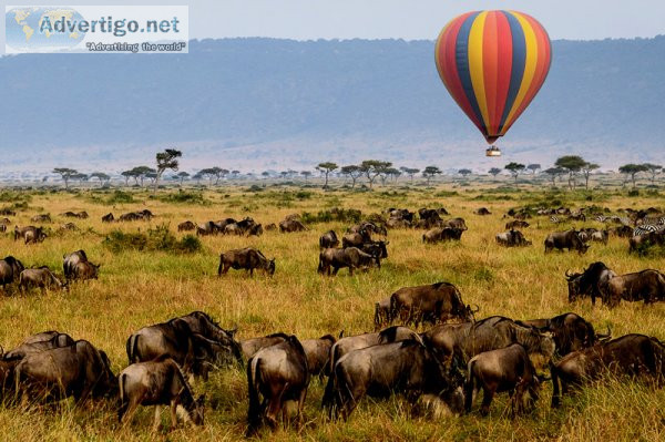 Safari offers for tanzania safari bookings, big 5, wildebeest se