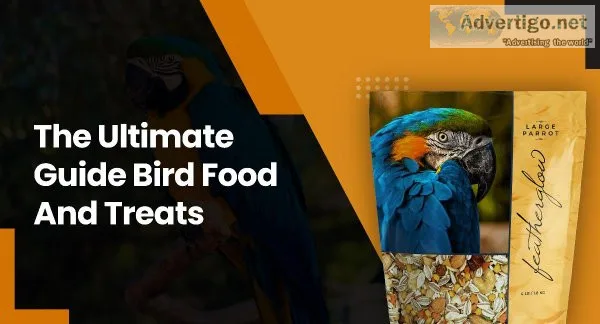 The Ultimate Guide Bird Food And Treats