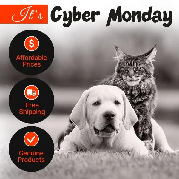 Missed Our Black Friday Sale Don&rsquot Worry Cyber Monday Sale 