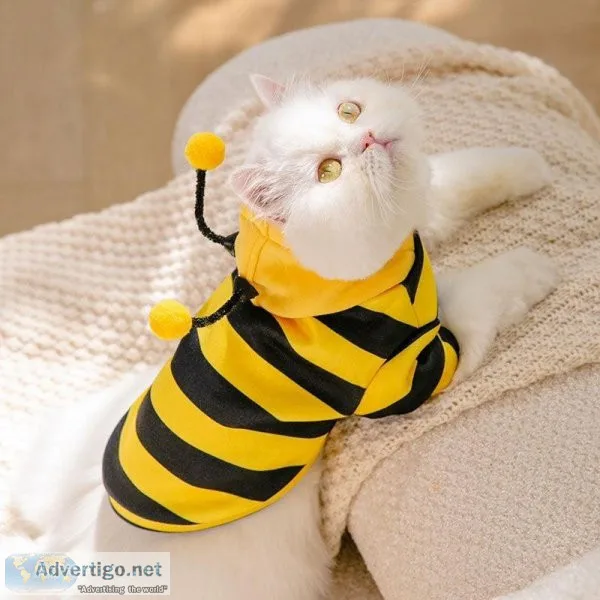 Buy Dog T-Shirt and Cute Bee Pet Clothes Online - Pets Villa