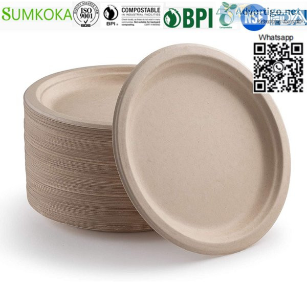 10 inches plate dinner plate disposable plate sugarcane plate