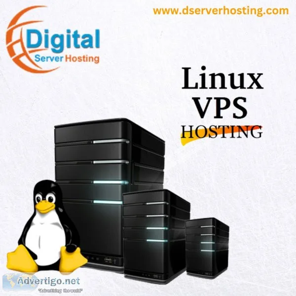 Get the best linux vps hosting services that can fit into your b