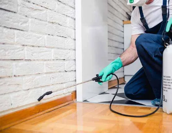 Pest control dubai