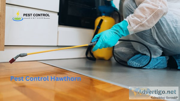 Pest control hawthorn