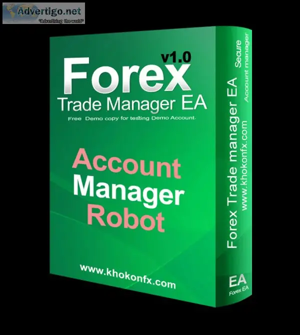Forex robot ea account management