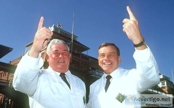 Best cricket umpires