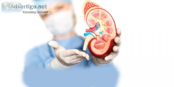 Top kidney doctor in delhi: dr niren rao