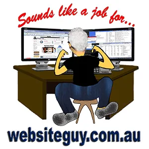 Website guy - website design - seo - maintenance