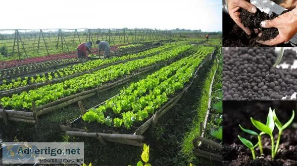 Global organic fertilizer market share, size, trends, growth, an