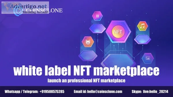 White label nft marketplace- launch a professional nft marketpla