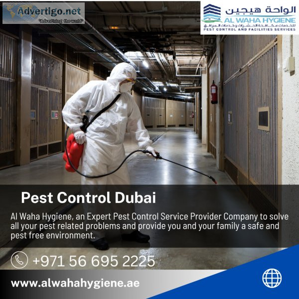 Pest control services dubai