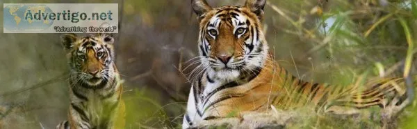 Sundarban tour 1 night 2 days - br holidays