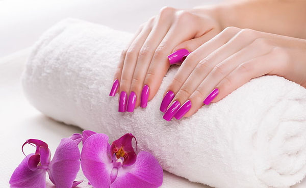 Top notch towel manufacturers in india