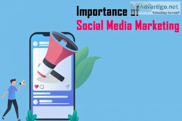 Pickzon the best social media app where you can earn money pickz