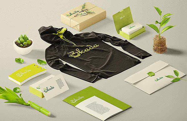 Best logo design company in lucknow - verve branding