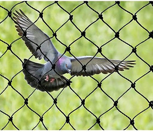 Birds entry control strip curtain manufacturers