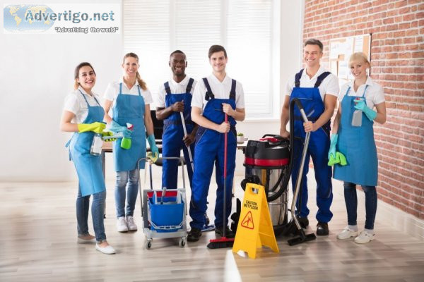 Looking for movers, cleaners & pest control services? service ex