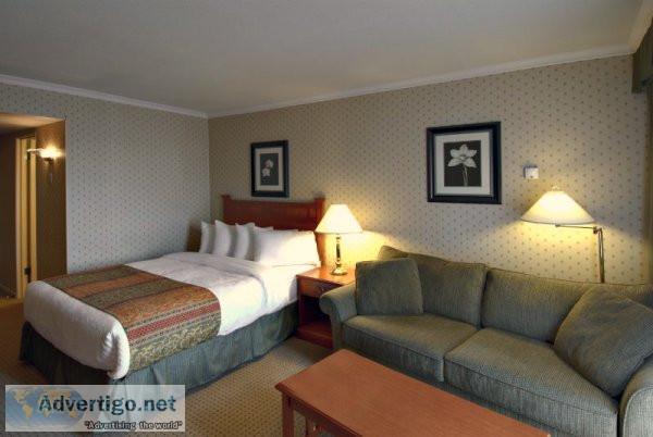 Commercial Wall covering installer