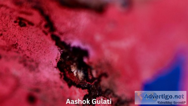 Buy paintings with organic colors from aashok gulati