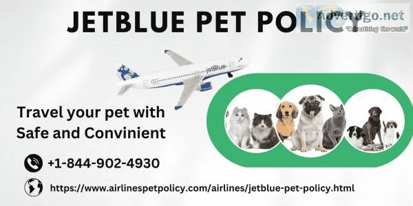 Dial +1-844-902-4930 for jetblue pet policy