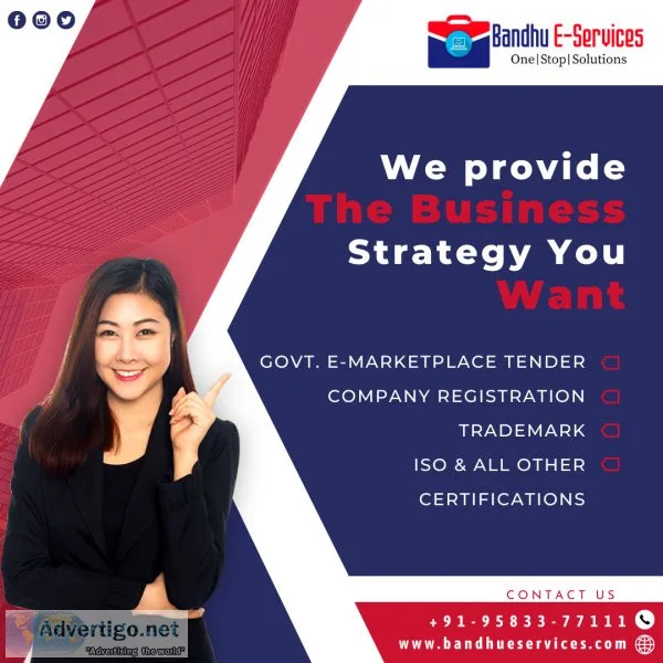 Business consultant