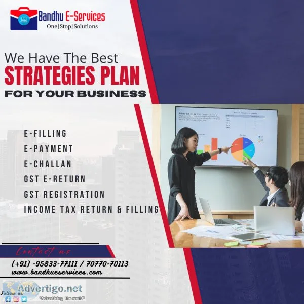 Business consultant