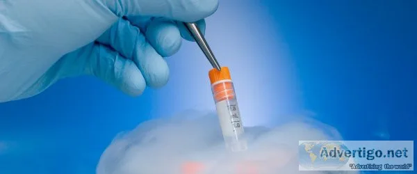 Best icsi treatment in ahmedabad