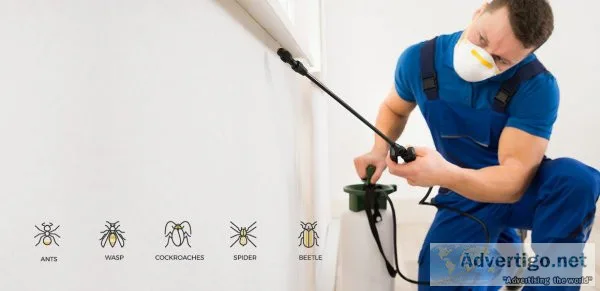 Top pest control services in melbourne