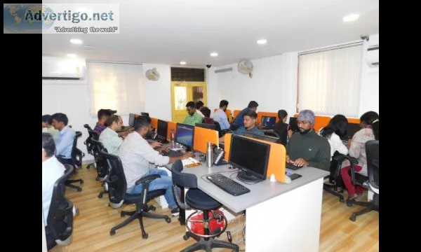 Bitrix24 crm implementation and customization|odoo erp implement