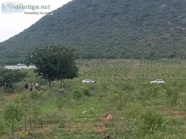 Farm Land Plots