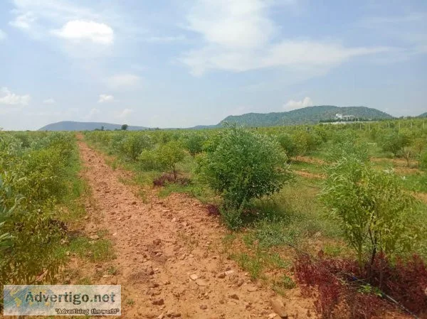 Farm Land Plots