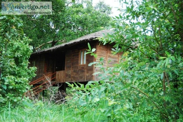 Best resorts in pench for couples | family resorts in pench nati