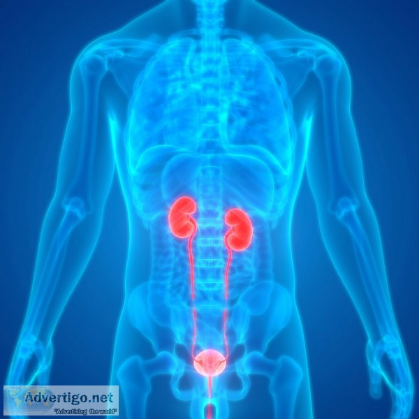 Best urologist near me | urology doctor online consultation | sp