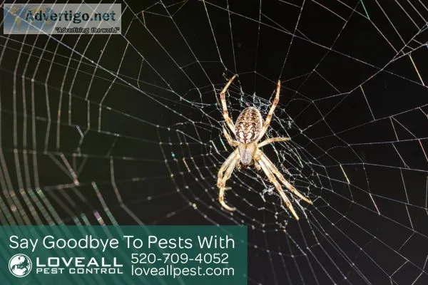 Loveall Pest Control