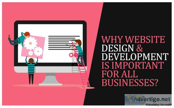 Website designing company in noida-zealth