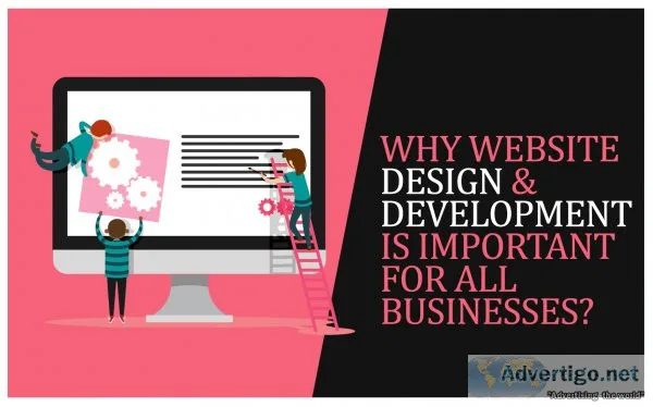 Website designing company in noida-zealth