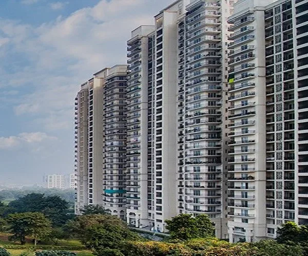 Dlf sector 63 gurgaon