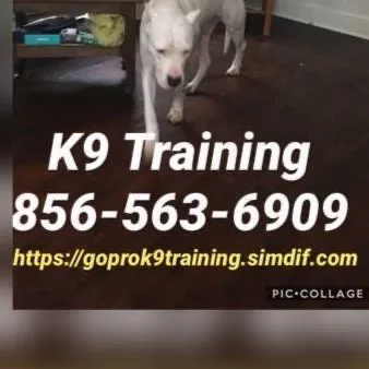 We control all breeds k9 control