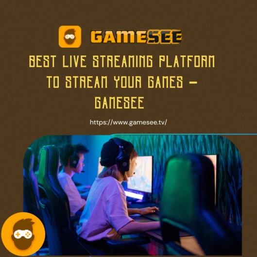 Best live streaming platform to stream your games - gamesee