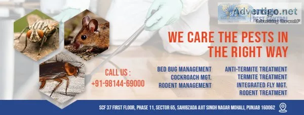Pest control