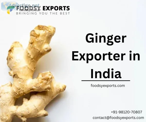 Ginger exporter in india | foodsy exports