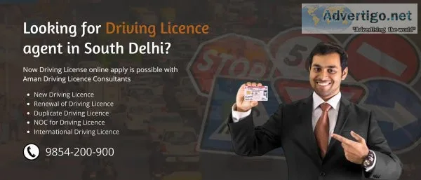 Driving licence consultant in south ex