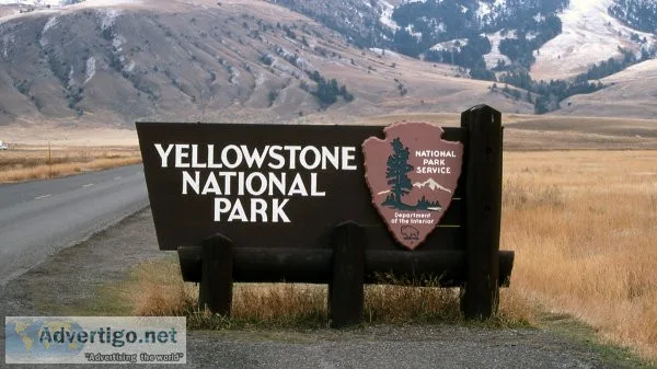 Affordable yellowstone adventures