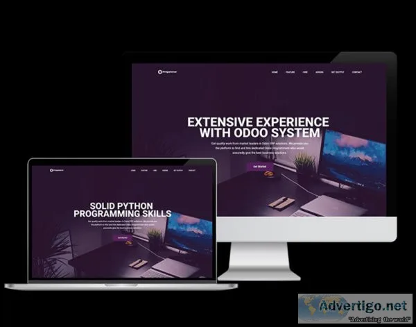 Odoo programmer